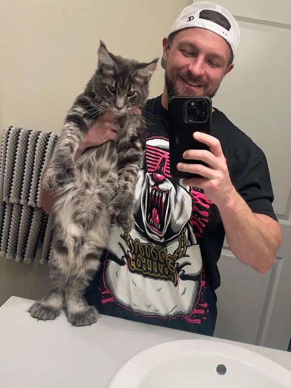 Dean, a smoke tabby Maine Coon, with his owner at home in Ohio