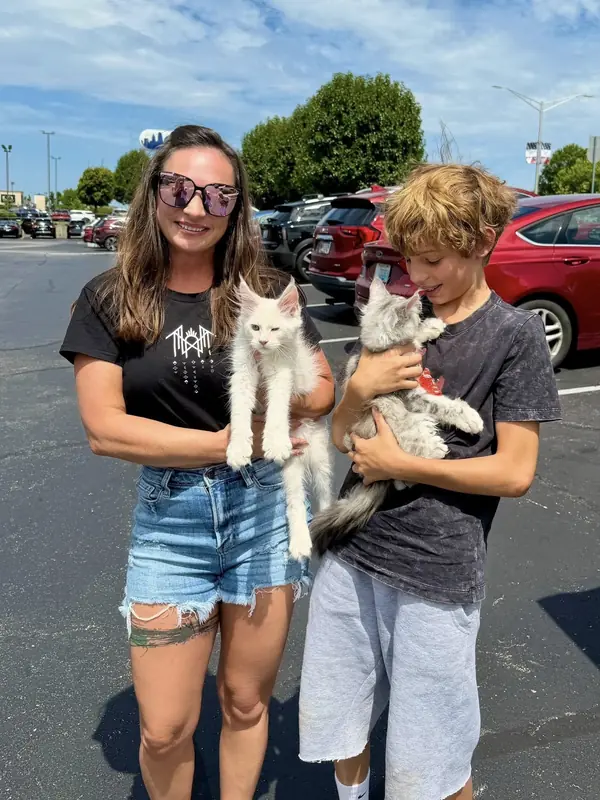 Kelly and Sean with their two Maine Coon kittens from Cass Coon Cats